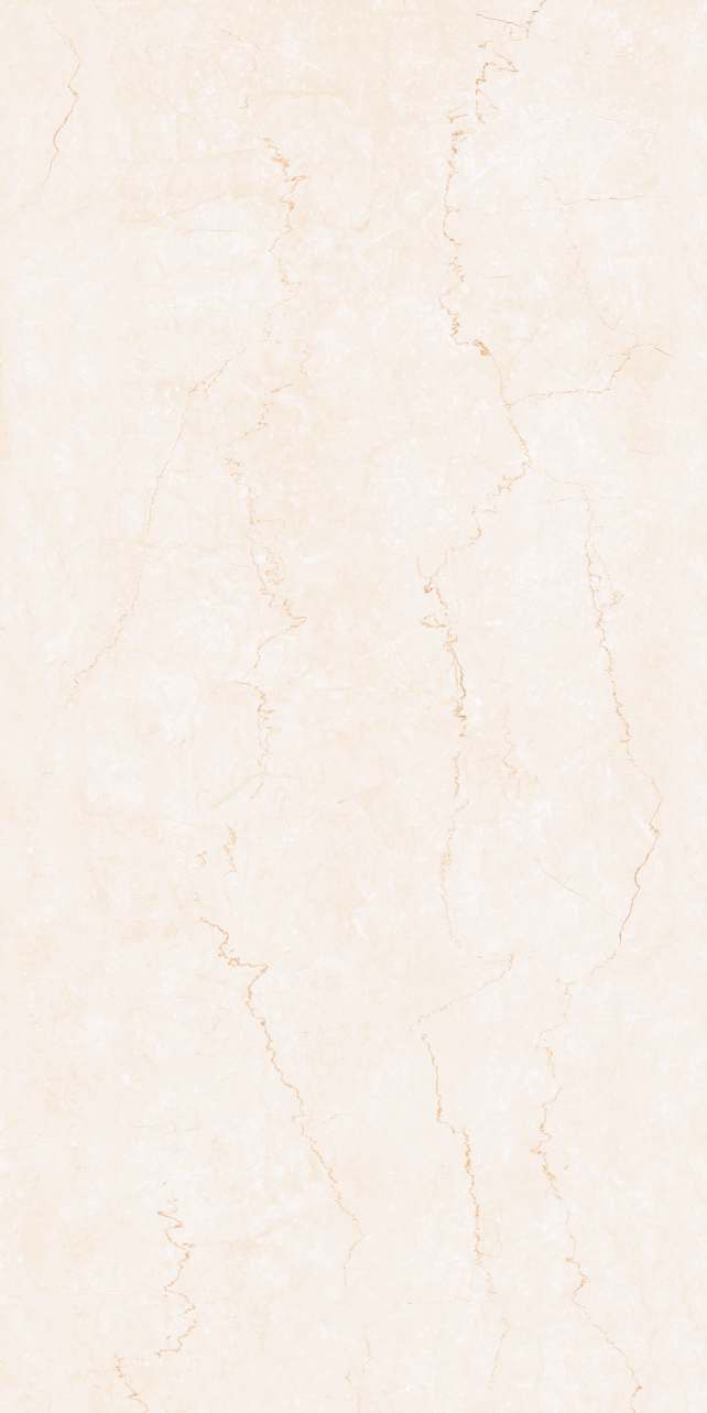 bottochino classic porcelian tile